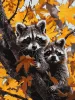 Painting by numbers - A raccoon adventure ©art_selena_ua