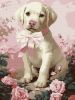 Painting by numbers - Fluffy gift ©art_selena_ua