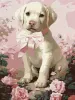 Painting by numbers - Fluffy gift ©art_selena_ua