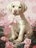 Painting by numbers - Fluffy gift ©art_selena_ua