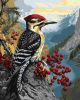 Painting by numbers - Woodpecker on a viburnum ©art_selena_ua