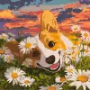 Painting by numbers - Corgi in daisies ©art_selena_ua