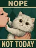Painting by numbers - Poster. Not today ©art_selena_ua
