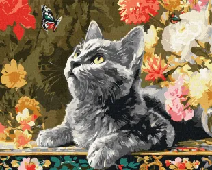 Картина за номерами - Кошеня та метелики ©art_selena_ua