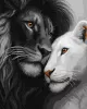 Painting by numbers - Lions in love ©art_selena_ua