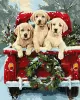 Painting by numbers - Dog trip ©art_selena_ua