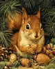 Painting by numbers - Squirrel and nuts ©art_selena_ua
