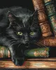 Painting by numbers - Quiet comfort with extra metallic paints ©art_selena_ua