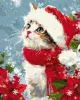 Painting by numbers - Cat in the snow ©art_selena_ua