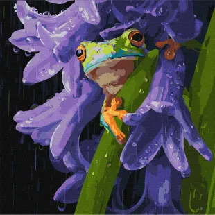 Картина за номерами - Жабеня під дощем ©art_selena_ua