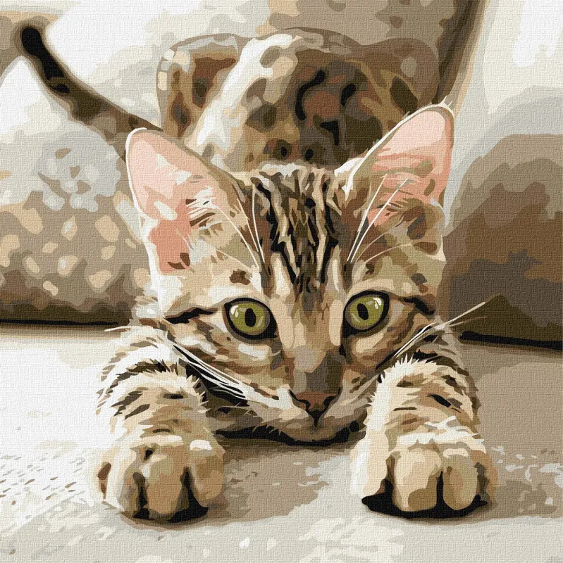 Картина по номерам - Игривый котенок ©art_selena_ua