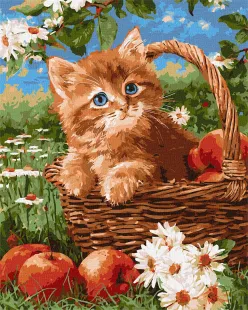 Картина по номерам - Рыжий котенок и яблоки ©art_selena_ua