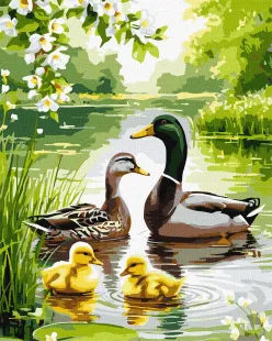 Картина за номерами - Качина родина на світанку ©art_selena_ua