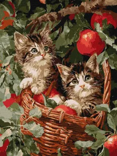 Картина за номерами - Коти у кошику ©art_selena_ua