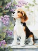 Painting by numbers - Beagle near flowers ©art_selena_ua
