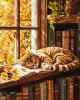 Painting by numbers - Cat and the Book ©art_selena_ua