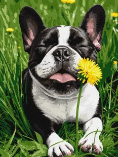 Painting by numbers - Dandelion Pup ©art_selena_ua