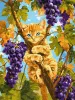 Картина по номерам - Рыжий кот на винограде ©art_selena_ua