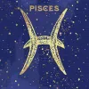 Painting by numbers - Zodiac sign Fish with Metallic Paint 