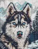 Алмазная мозаика - Глаза полуночи ©art_selena_ua