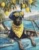 Diamond mosaic - Lemon dog with glasses ©art_selena_ua