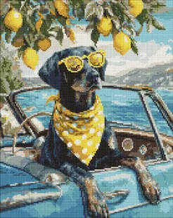 Алмазна мозаїка - Лимонний пес у окулярах ©art_selena_ua