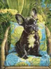 Diamond mosaic - Comfy with Attitude ©art_selena_ua