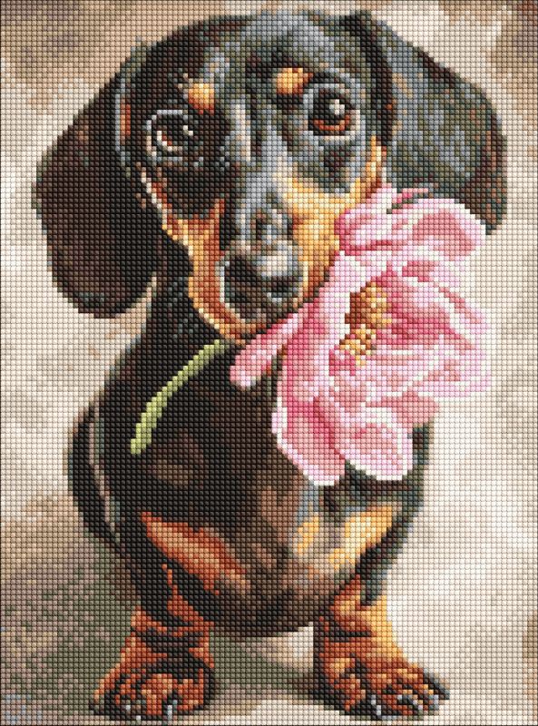 Алмазна мозаїка - Песик і сюрприз ©art_selena_ua