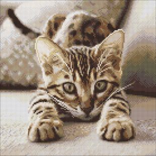Алмазная мозаика - Игривый котенок ©art_selena_ua