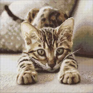 Алмазна мозаїка - Грайливе кошеня ©art_selena_ua