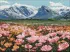 Diamond mosaic - Mountain field of flowers ©art_selena_ua