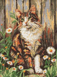 Алмазна мозаїка - Погляд милого кота ©art_selena_ua