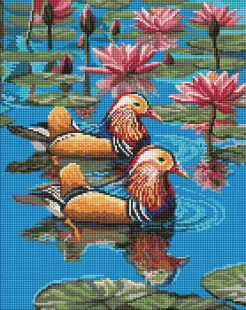 Алмазна мозаїка - Пара мандаринок ©art_selena_ua