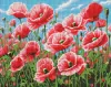 Diamond mosaic - Pink poppies ©art_selena_ua