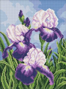 Алмазна мозаїка - Іриси просто неба ©art_selena_ua