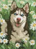 Diamond mosaic - Husky in flowers ©art_selena_ua