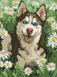 Алмазна мозаїка - Хаскі у квіточках ©art_selena_ua