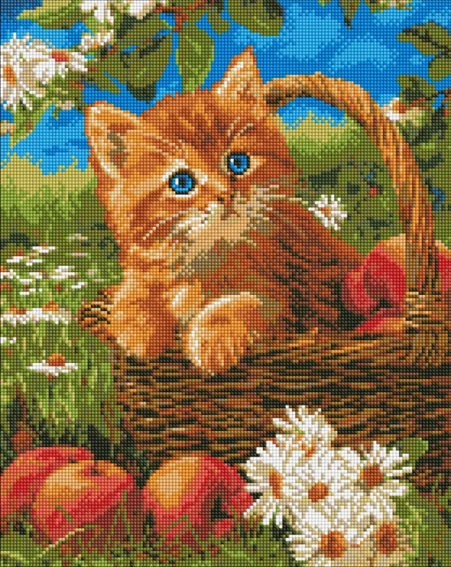 Алмазная мозаика - Рыжий котенок и яблоки ©art_selena_ua