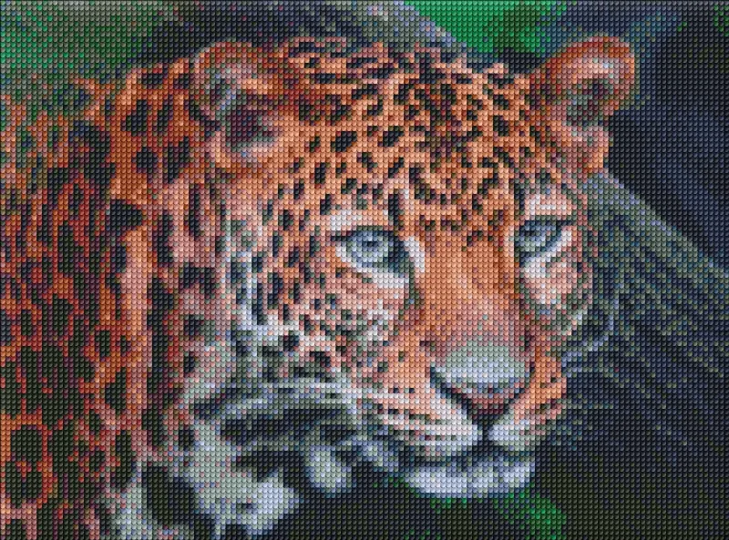 Diamond mosaic - Wild look
