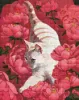 Алмазна мозаїка - Котик у півоніях ©Kira Corporal