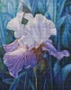 Diamond mosaic - Spring iris ©annasteshka