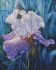 Diamond mosaic - Spring iris ©annasteshka