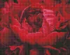 Diamond mosaic - An exquisite flower