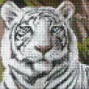 Diamond mosaic without frame - Bengal tiger