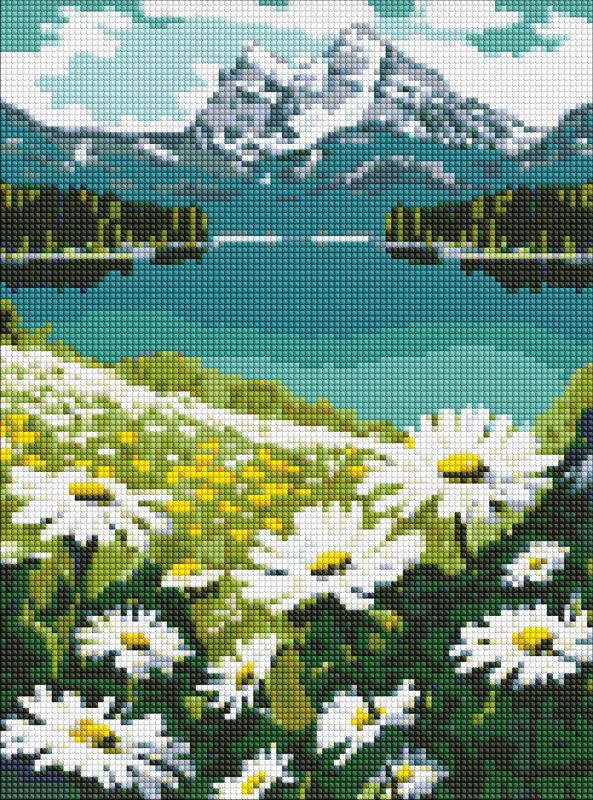 Алмазная мозаика - Цветущие ромашки ©art_selena_ua