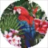 Diamond mosaic - Bright parrot ©art_selena_ua