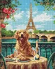 Diamond mosaic - A retriever in Paris ©art_selena_ua