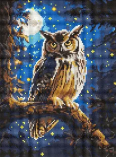 Diamond mosaic - Night owl with hologram rhinestones (AB) ©art_selena_ua