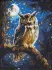 Diamond mosaic - Night owl with hologram rhinestones (AB) ©art_selena_ua