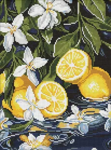 Алмазная мозаика - Лимоны в разрезе ©art_selena_ua